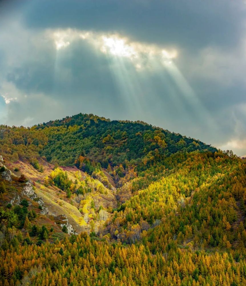 立秋|早立秋凉飕飕，晚立秋热死牛！今年“立秋”是早是晚？