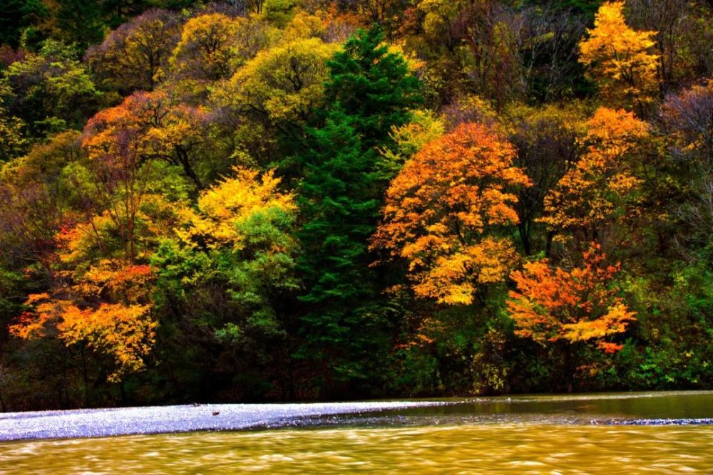 立秋|早立秋凉飕飕，晚立秋热死牛！今年“立秋”是早是晚？