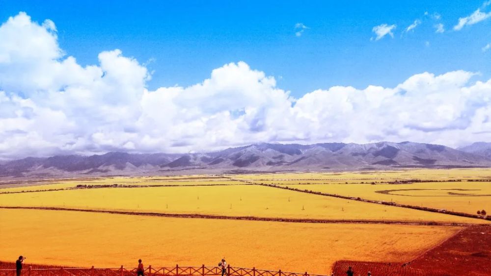 立秋|早立秋凉飕飕，晚立秋热死牛！今年“立秋”是早是晚？