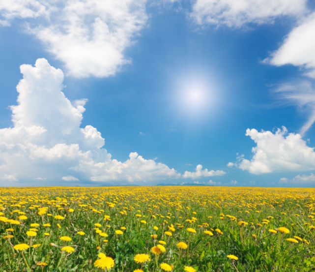 夏天的太阳真美