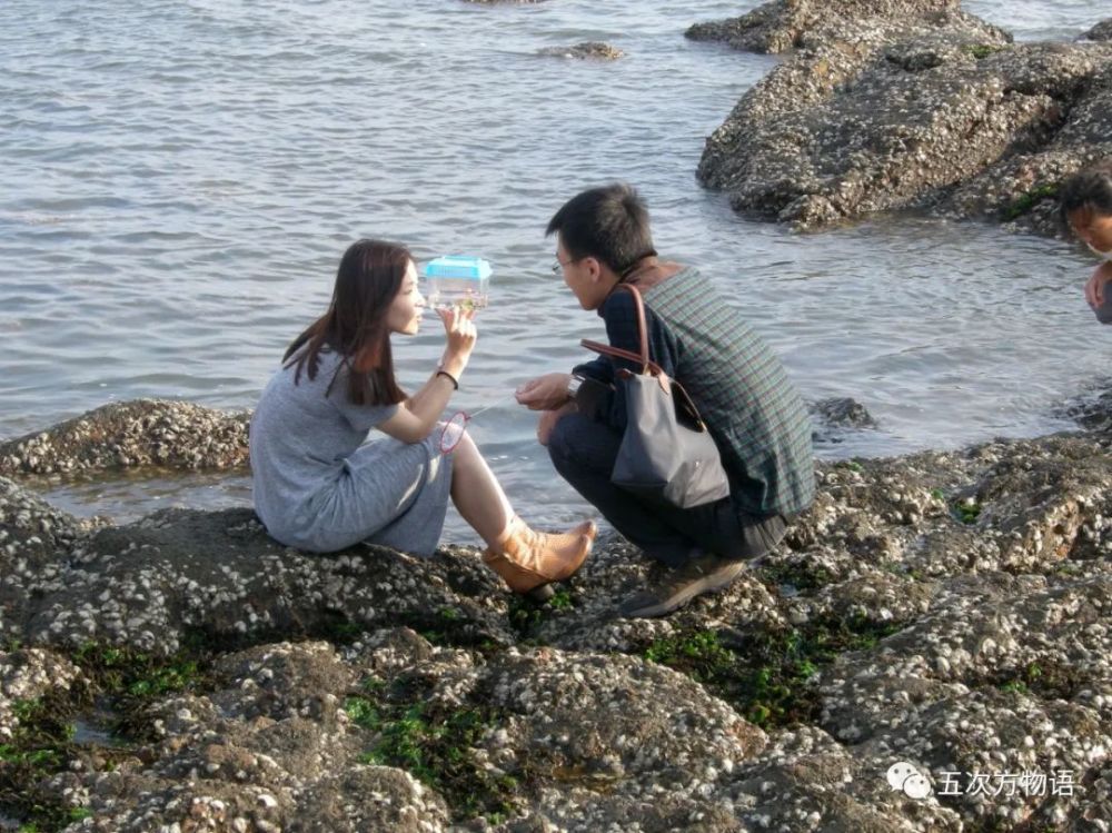 海滩|除了藻类，青岛海滩上到底能捡着啥？