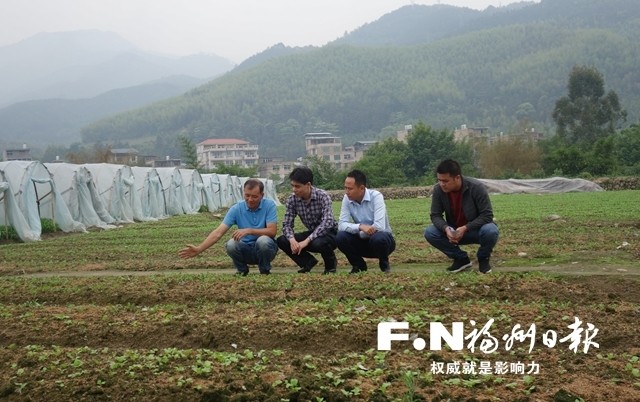 (闽清政协供图)福州日报记者 林瑞琪 实习生 张玲颖 通讯员 林华东