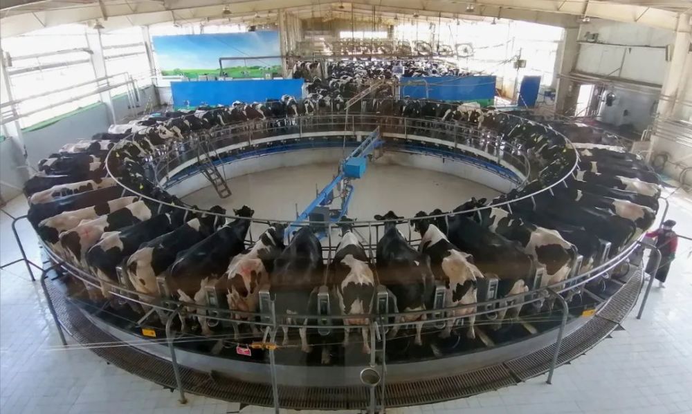 北京|从武汉、北京到大连，为什么疫情都和海鲜有关？