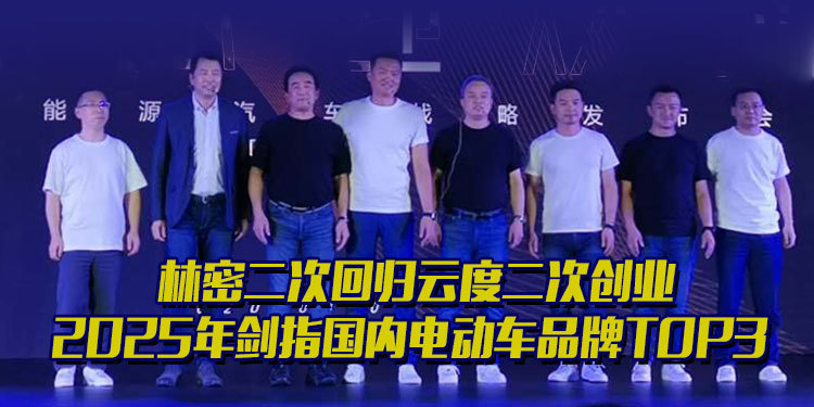 电动车排名前二排名_原创2019全球电动车销量榜:中国品牌跻身全球第二