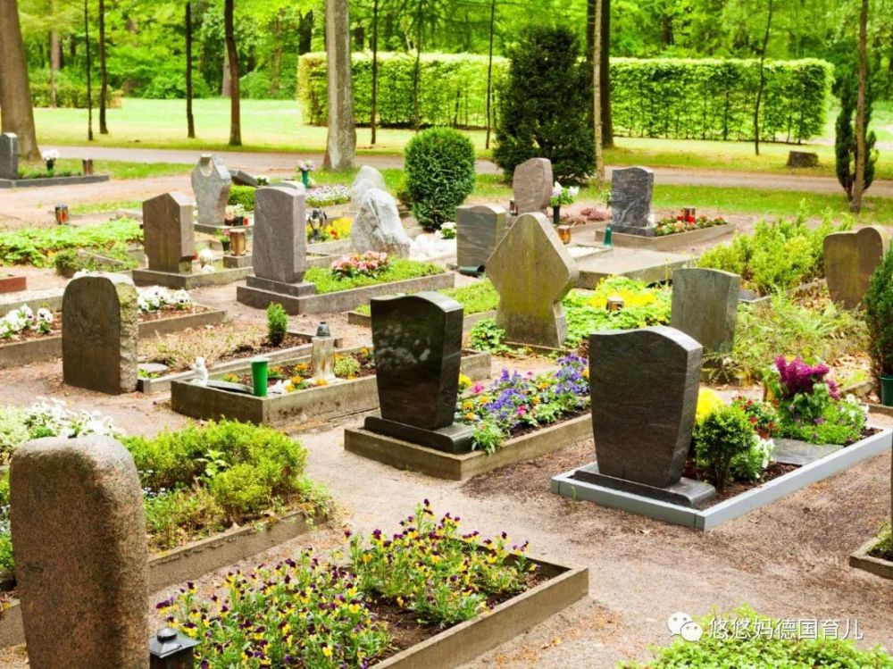 德国墓园就像花园一样漂亮,墓碑前种满了鲜花和植物,点亮了蜡烛灯,每