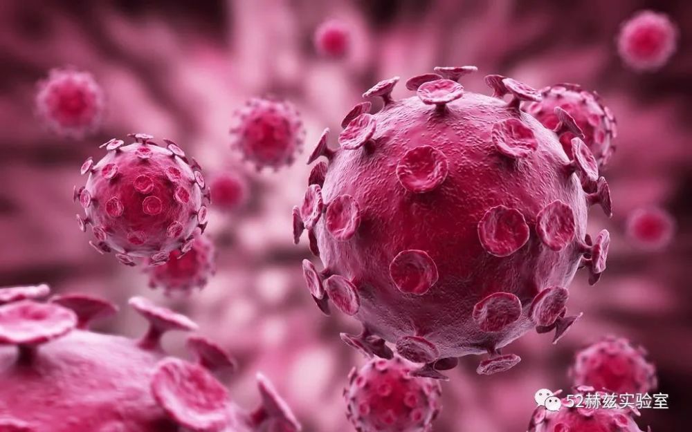 病毒|病毒到底算不算生命，带你重新理解生命！