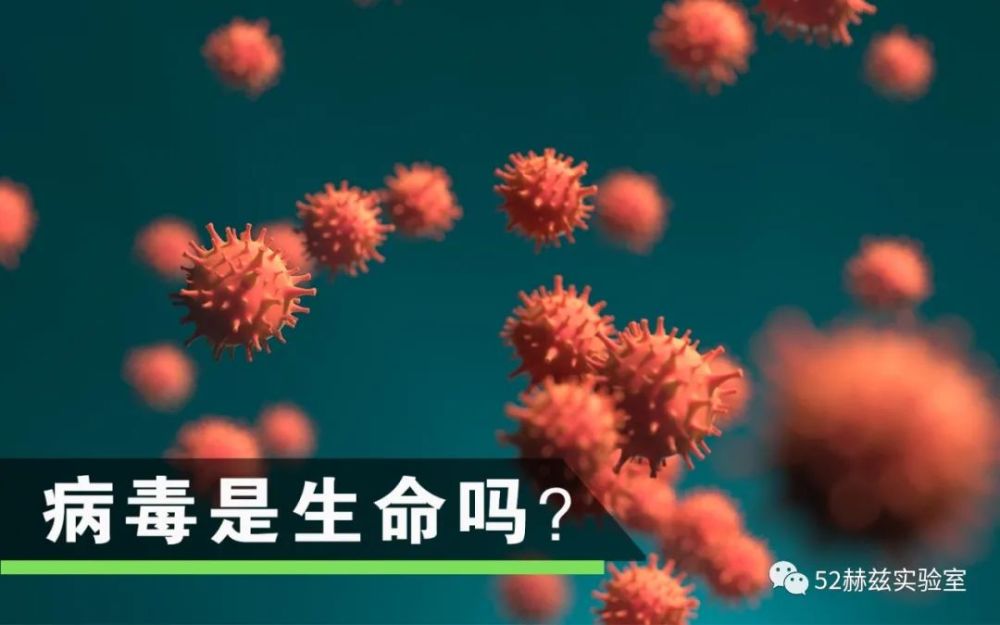 病毒|病毒到底算不算生命，带你重新理解生命！
