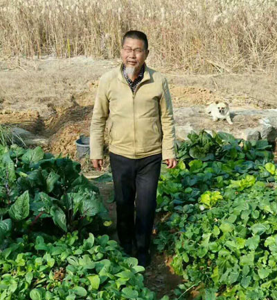 邹正|著名诗人、书法家邹正《葛仙楼诗联 十八首》