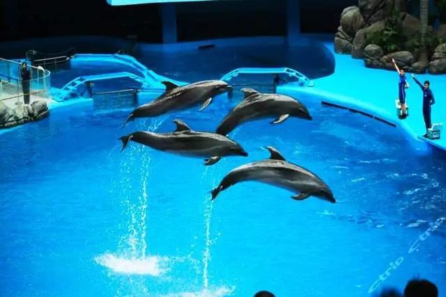 5亿元,占地103亩的运城海洋世界项目即将开工!快看在哪?