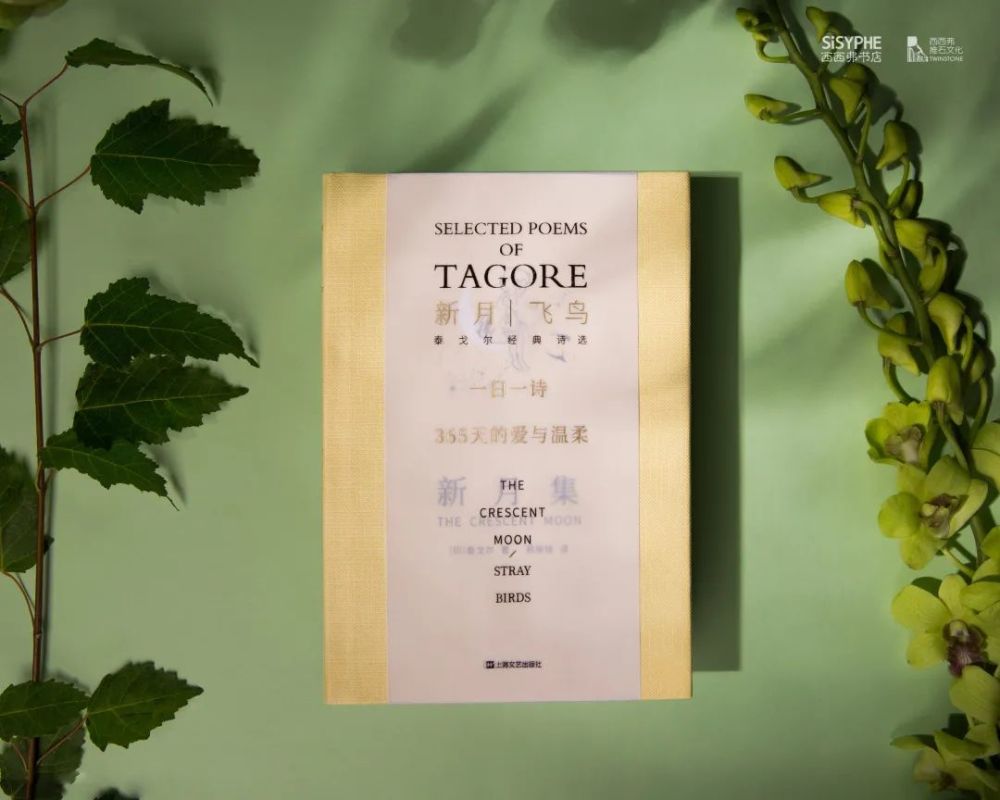 泰戈尔|从8岁创作到80岁，心中有爱的人永远不会老