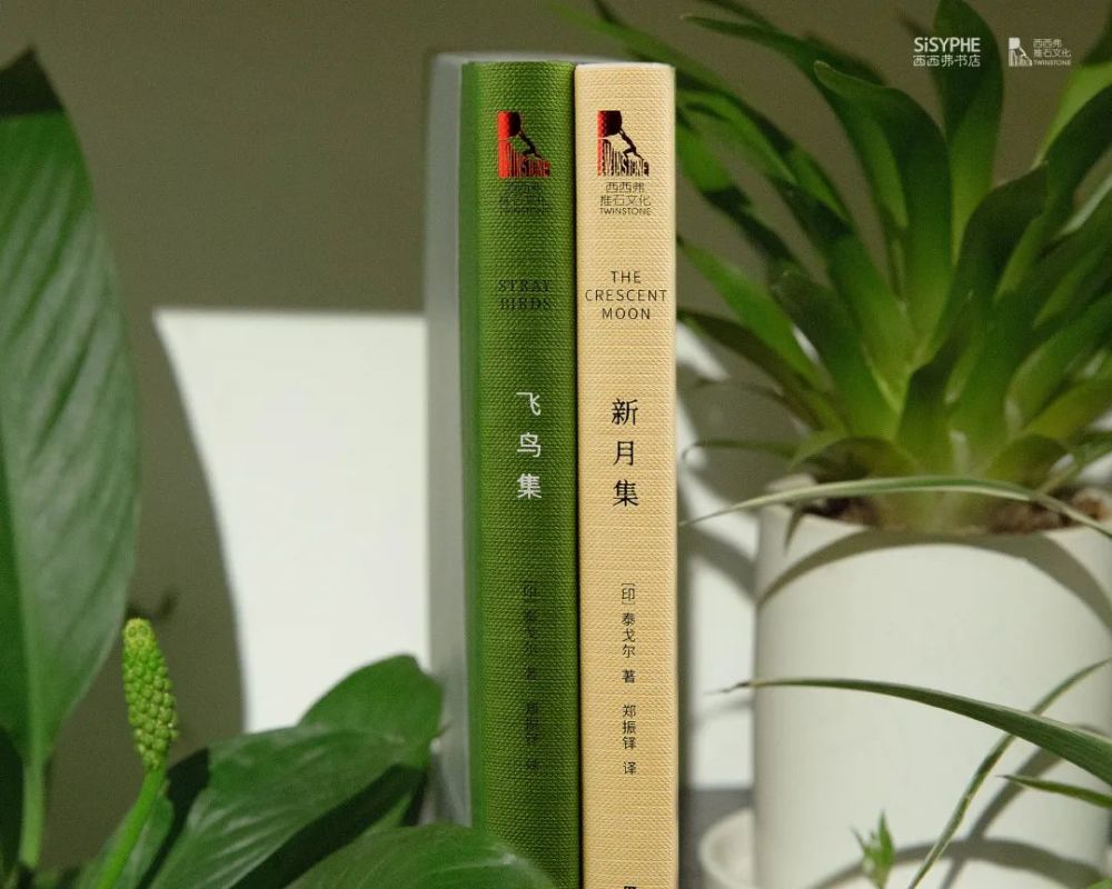 泰戈尔|从8岁创作到80岁，心中有爱的人永远不会老