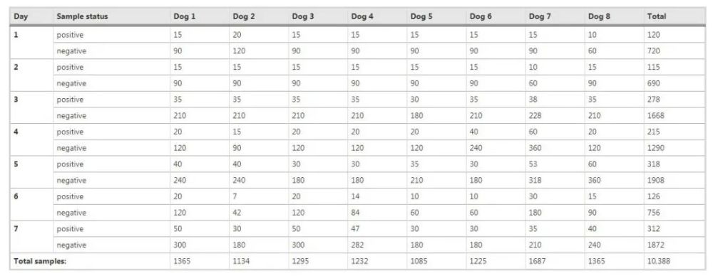新冠病毒|“汪星人”加入抗疫战队！新冠病毒检测率高达94％