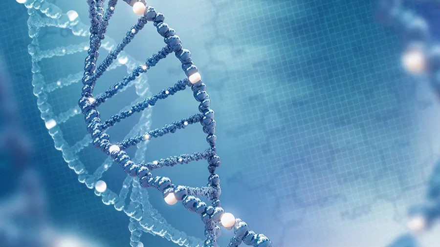 泛生子q2营收增长40毛利大增85