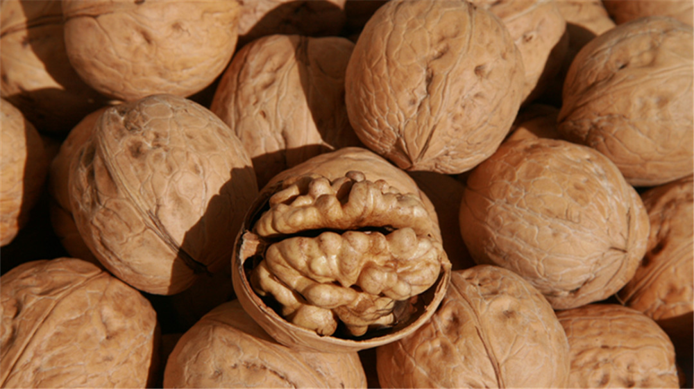 优质核桃怎么挑,3步简单get!_腾讯新闻