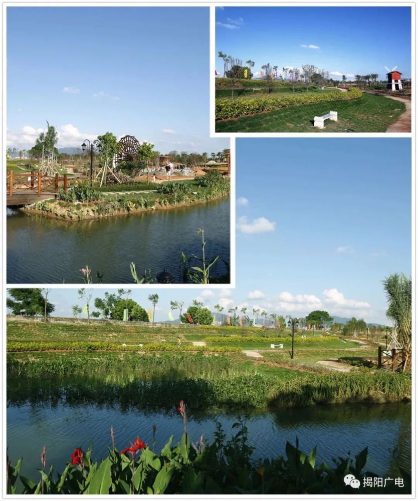 揭阳湿地公园图片