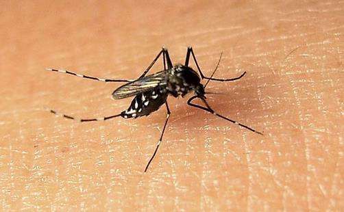 病毒|新冠疫情后一种新的病毒正在困扰人类，新加坡已超两万人被感染！