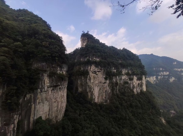 油杉河風景區位於大方縣的東北端,和著名的百里杜鵑林帶一山之隔,有一