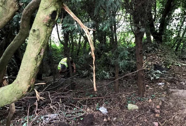 亚马逊|英国女子发现亚马逊快递员在花园大便后报警，亚马逊送礼券作赔偿