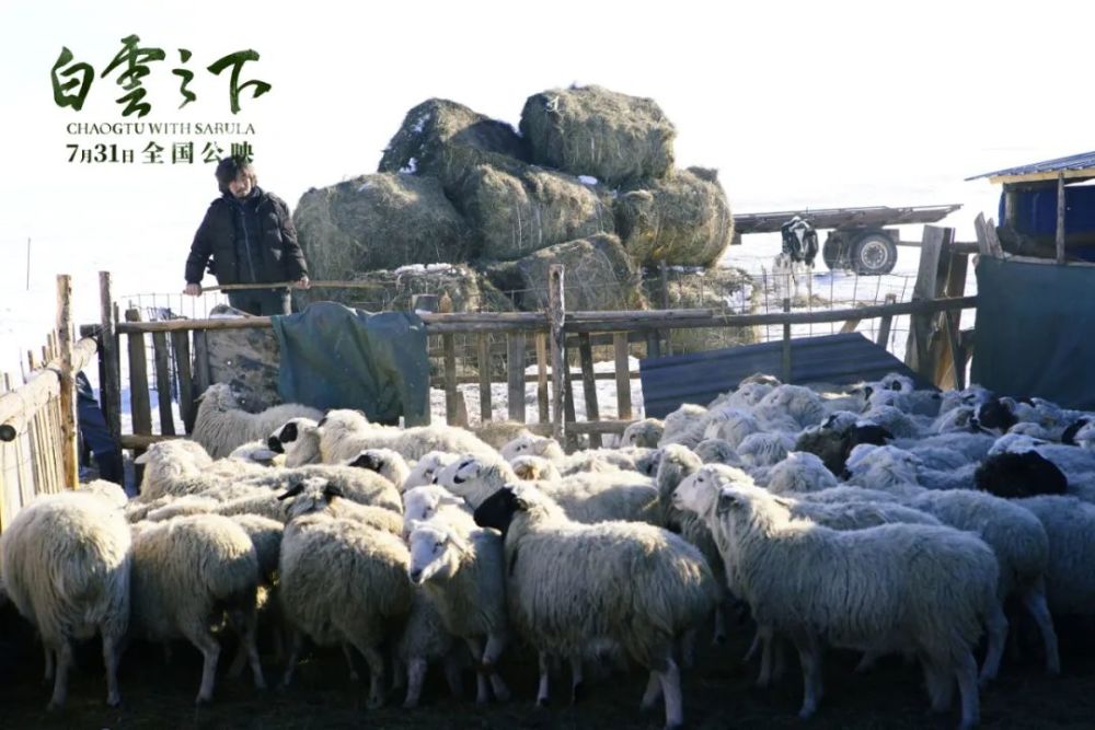 白云之下|近期最特别的一部新片，一定要去影院看！