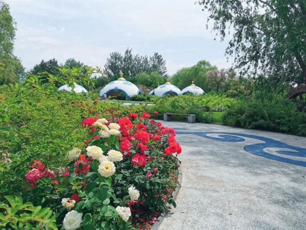 中国园林博物馆|来丰台看花！赏花线路推荐！文化和旅游消夏季——千万别错过