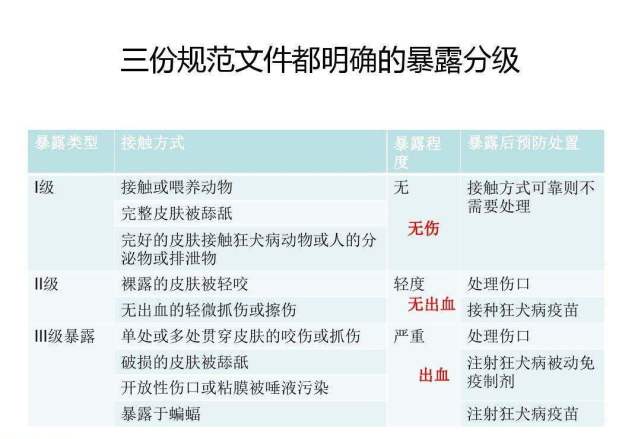 被狗咬了之后 什么情况不需要打狂犬疫苗 狂犬疫苗 狂犬病毒 猫猫狗狗