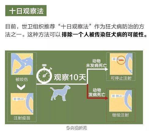狂犬疫苗|被狗咬了之后，什么情况不需要打狂犬疫苗？