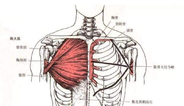 7個不常見的訓練方法練爆你的胸肌