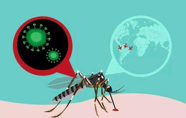 通过蚊虫叮咬传播的西尼罗病毒