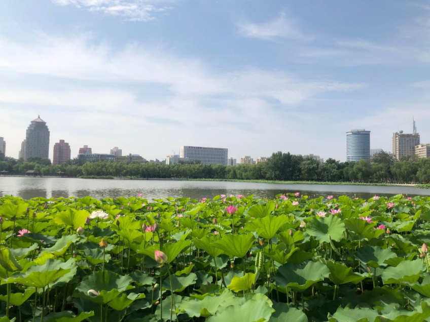 丰台区|丰台文化和旅游消夏季来啦！5条精品旅游线路邀您享受夏日时光