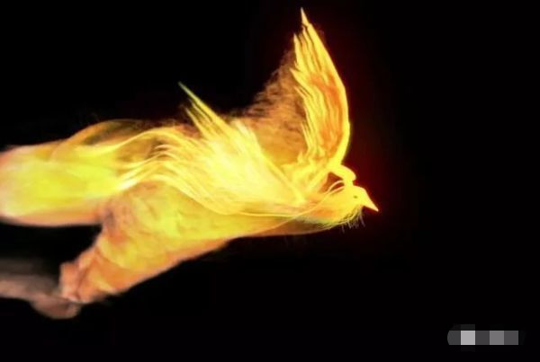 测试凭你的直觉选一只金凤凰测你最近会有什么大喜事发生