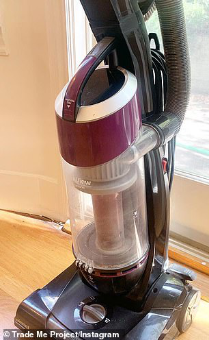 苹果|女子在网上以物换物，用一枚发夹最终换回一台苹果笔记本电脑