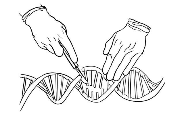 人类是如何操纵基因获得自己想要的药物的