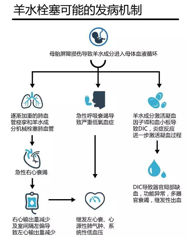 延安市人民医院多科室协作成功抢救一例羊水栓塞产妇