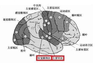 七里香|有一个唱歌“五音不全”的朋友是什么体验？