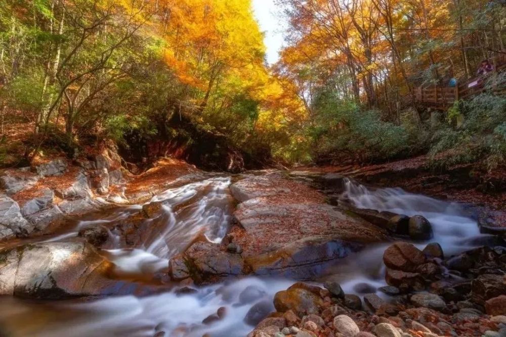 秋意|古诗词中的秋天美景，天高云淡，秋意微凉