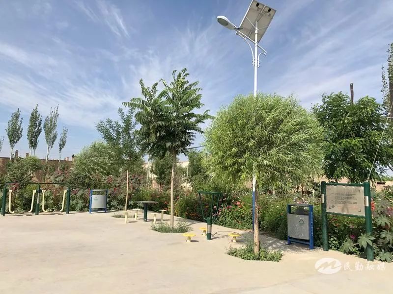 【走向我们的小康生活】民勤县东坝镇:厕所改造"改"到群众心坎里_腾讯