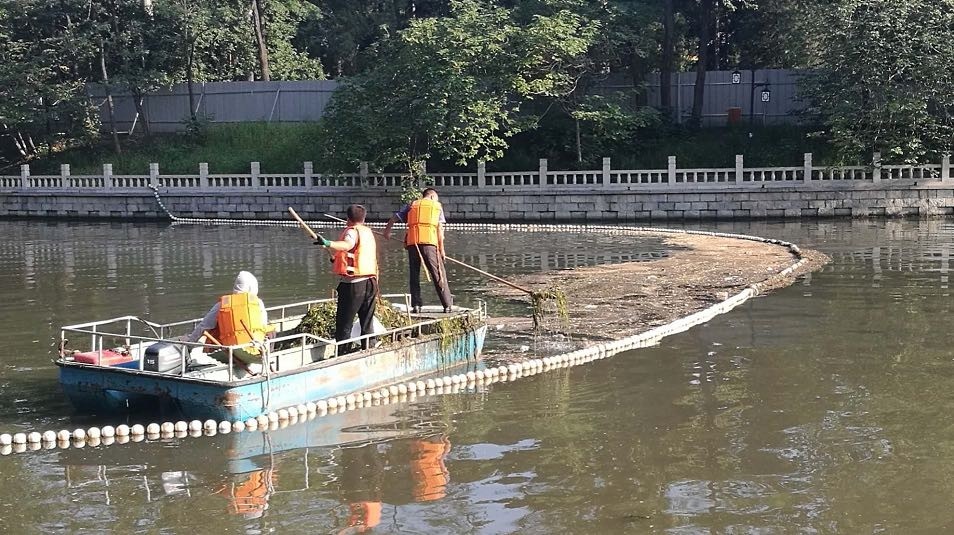 河湖|暴雨后河湖水质变差？北京城市河湖处4天办复30个“接诉即办”