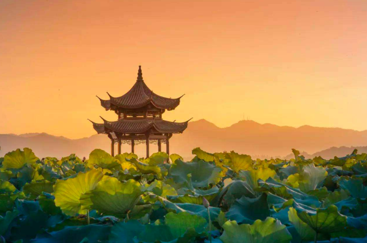 夏日南亭怀辛大|很适合夏天读的一首诗，短短50字，便能让你清凉一夏