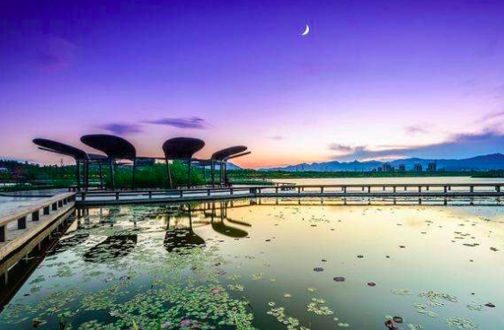 夏日南亭怀辛大|很适合夏天读的一首诗，短短50字，便能让你清凉一夏