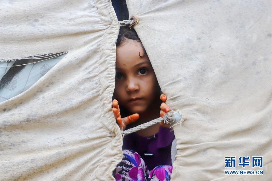 也门流离失所的儿童7
