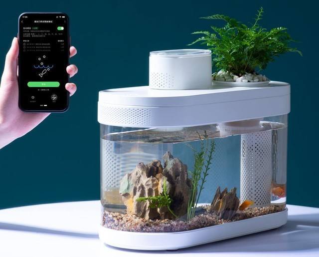小米智能产品 画法几何c系列智能鱼缸 腾讯新闻