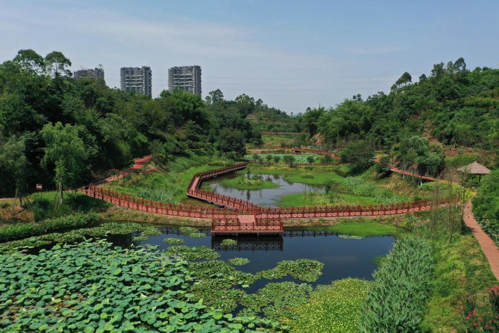 乐山嘉州绿心公园提升后即将亮相 中国地级市最大的城市绿心角逐成渝