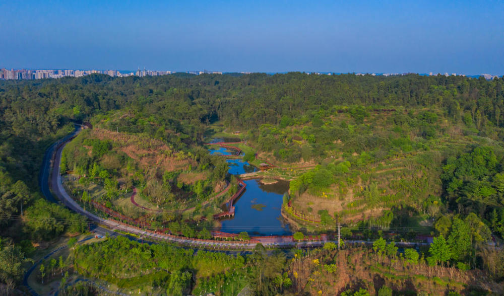 樂山嘉州綠心公園提升後即將亮相 中國地級市最大的城市綠心角逐成渝