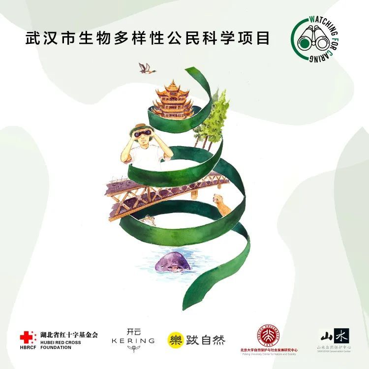 消费者|负责任的消费者，力所能及的保护者