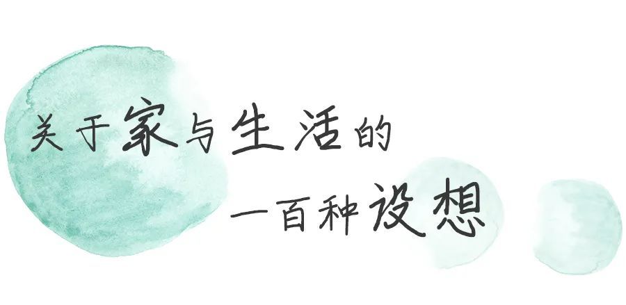 插画师|用画吸猫？这个90后宝藏女孩的小日子过得太美了