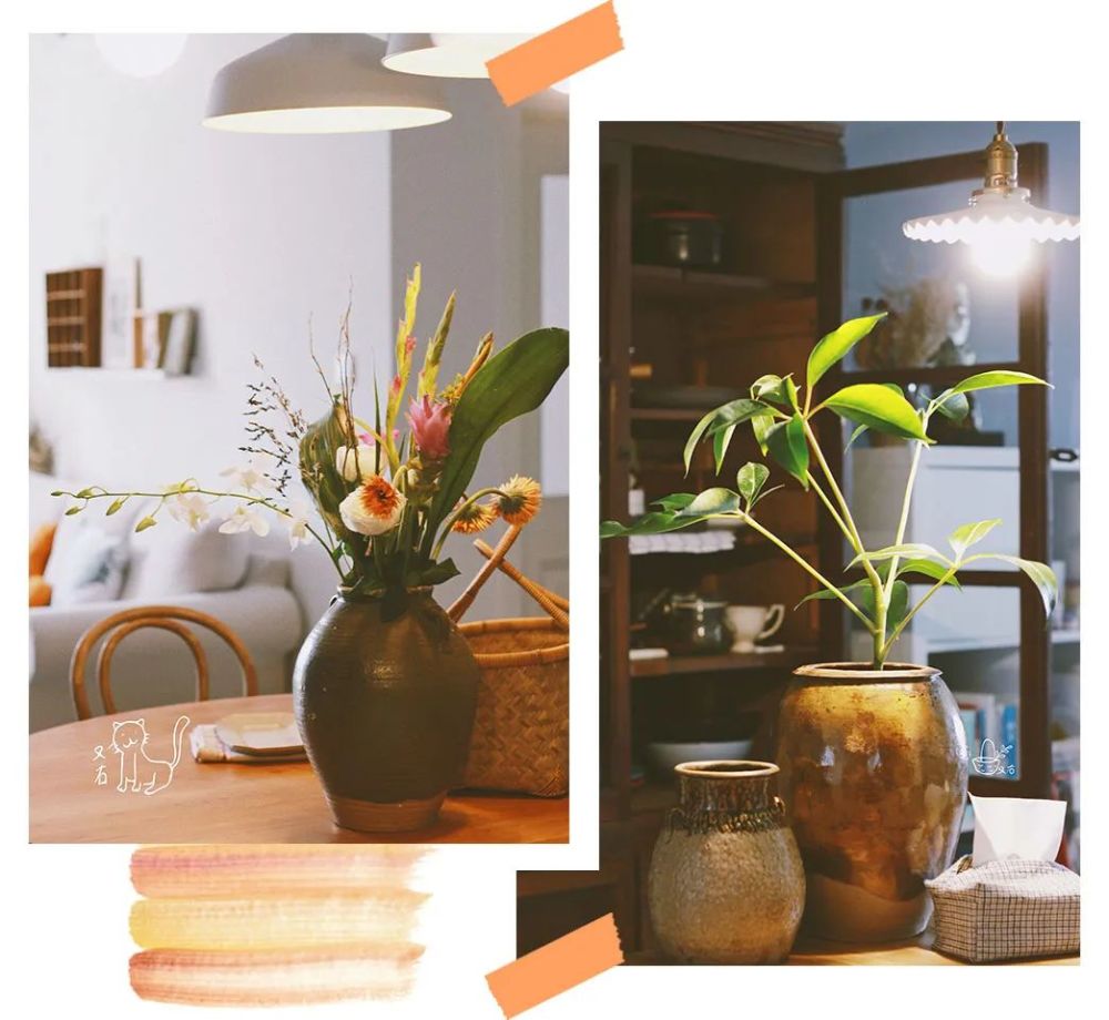 插画师|用画吸猫？这个90后宝藏女孩的小日子过得太美了