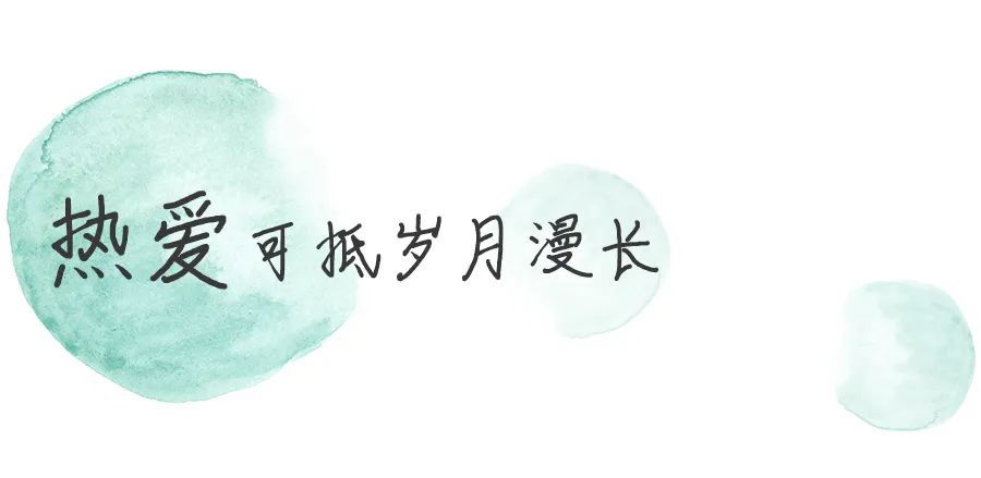 插画师|用画吸猫？这个90后宝藏女孩的小日子过得太美了