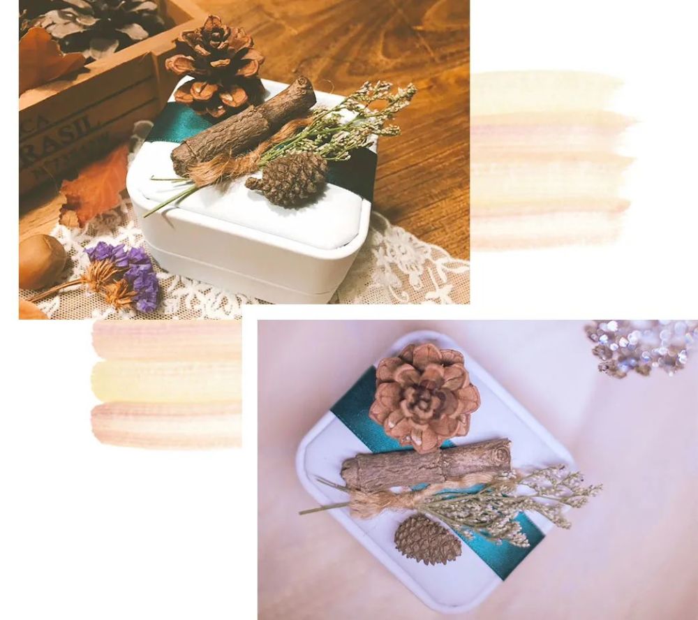 插画师|用画吸猫？这个90后宝藏女孩的小日子过得太美了