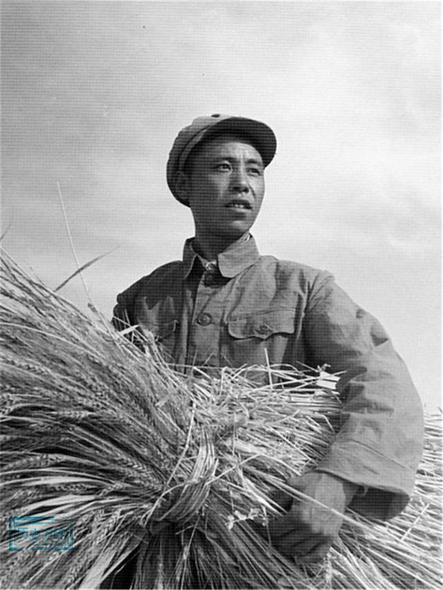 50年代初解放军开赴新疆垦荒耕种艰苦生活的真实老照片