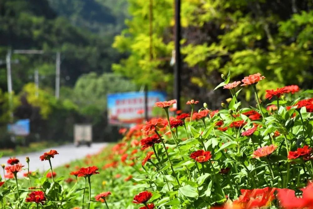 花开永坪展现美丽乡村别致美